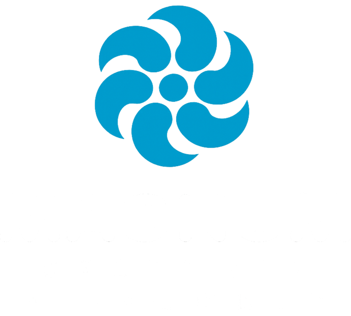 Magnum Splendid Fireworks